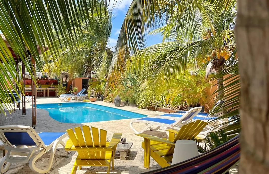 Oasis Guesthouse, Boutique Style 3* Playa